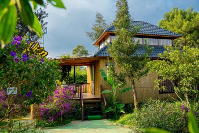 Căn hộ Bungalow tràn ngập sắc xanh